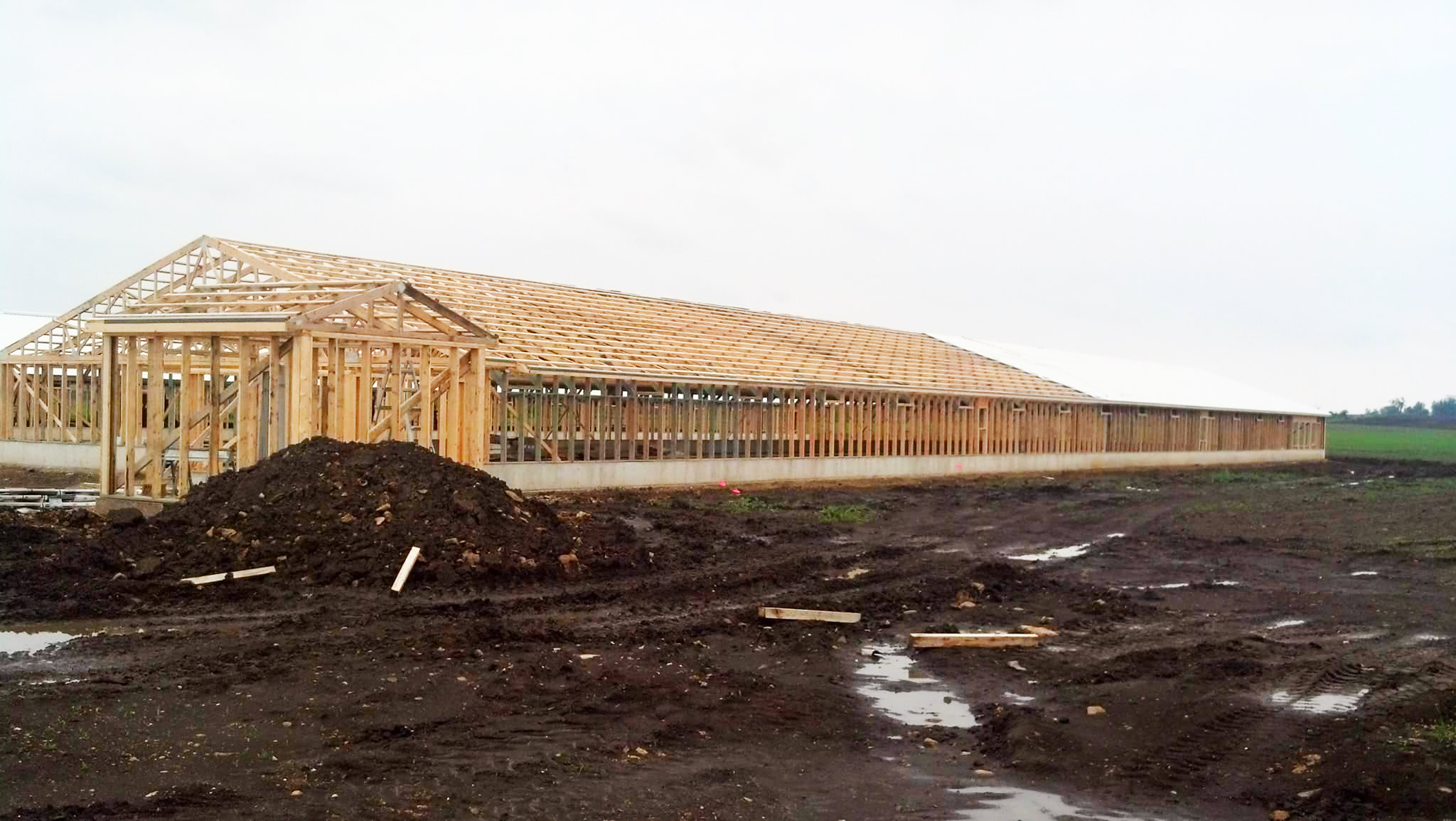 Grower Building Poultry